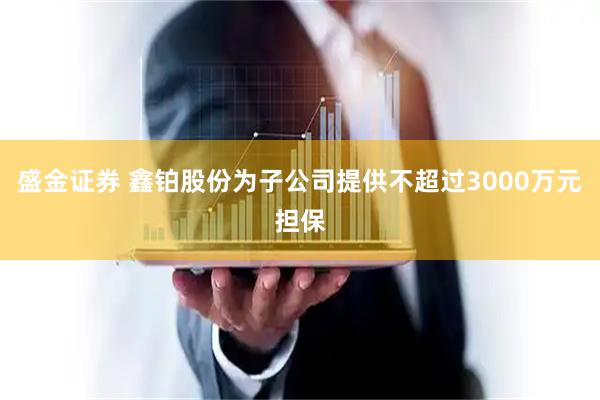 盛金证券 鑫铂股份为子公司提供不超过3000万元担保